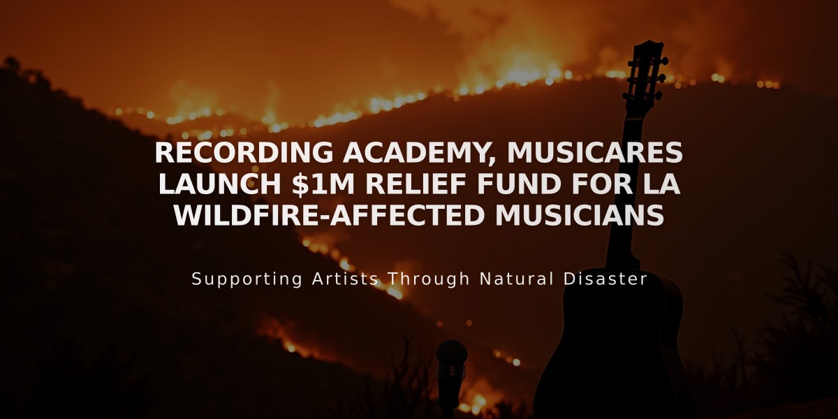 Recording Academy, MusiCares Launch $1M Relief Fund for LA Wildfire-Affected Musicians